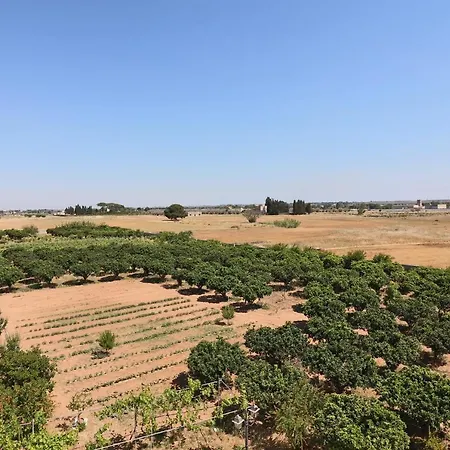 Tenuta Degli Agrumi