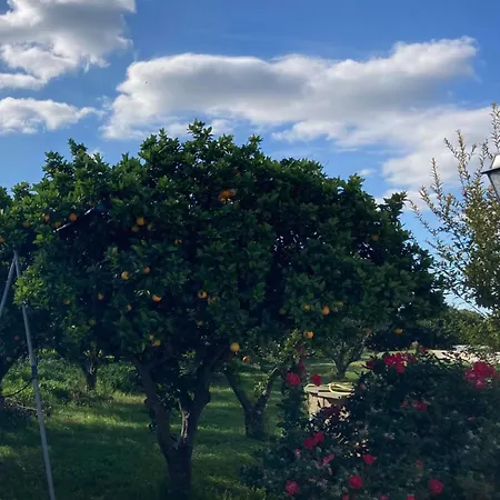 Tenuta Degli Agrumi *