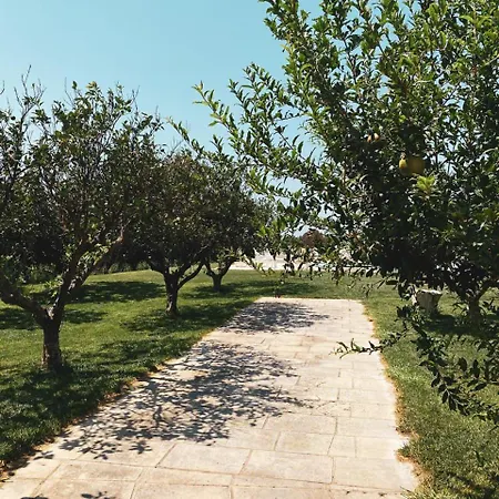 Oda ve Kahvaltı Tenuta Degli Agrumi *