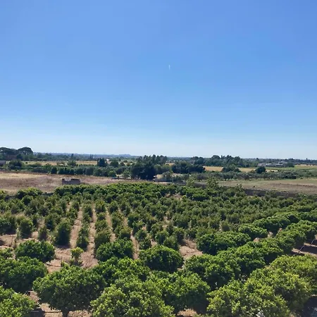 Tenuta Degli Agrumi