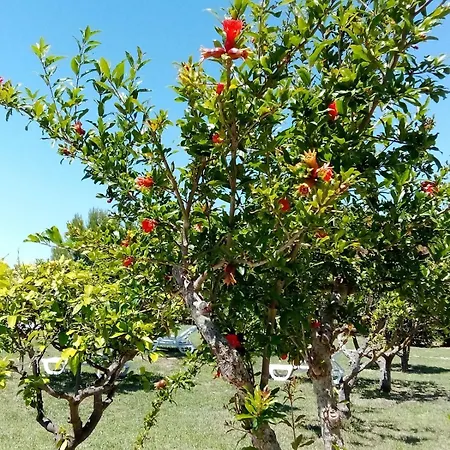 Tenuta Degli Agrumi Oda ve Kahvaltı